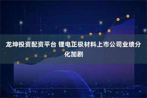 龙坤投资配资平台 锂电正极材料上市公司业绩分化加剧
